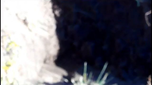 мой коп на новом месте смотреть онлайн