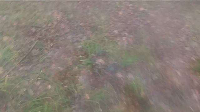 с гончими.усталость.доклад гончей о работе... смотреть онлайн