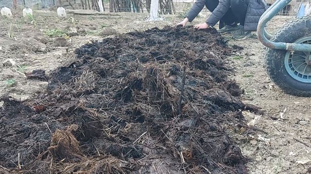 Cum se face un strat fără săpat - no dig смотреть онлайн