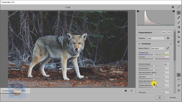 Как сделать полноконтрастную фотографию смотреть онлайн