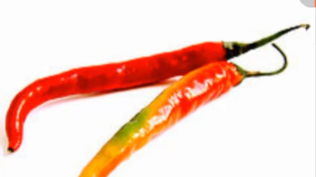 Surunkali chipqon xaqida ✧✦Сурункали чипқон хақида смотреть онлайн