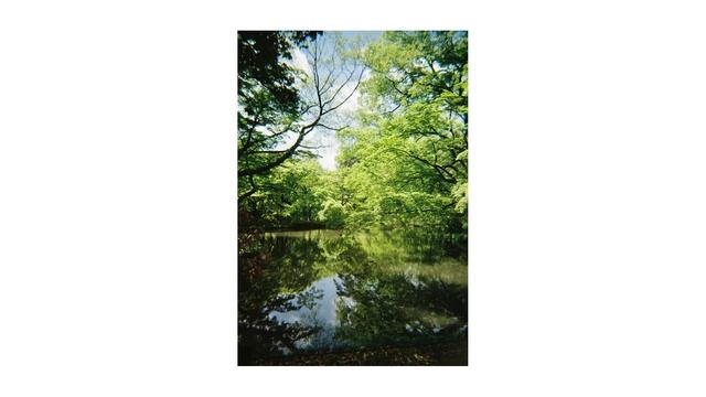 My First Film Camera: Kodak m38 смотреть онлайн