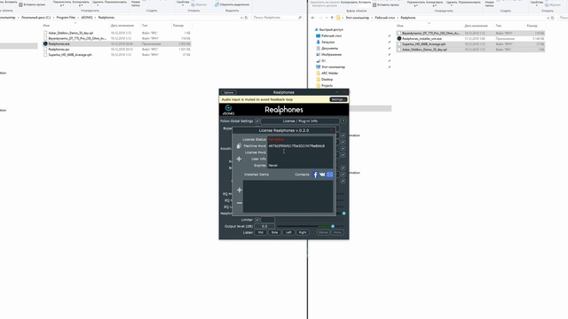 Профессиональный мониторинг в ваших наушниках? | dSONIQ Realphones