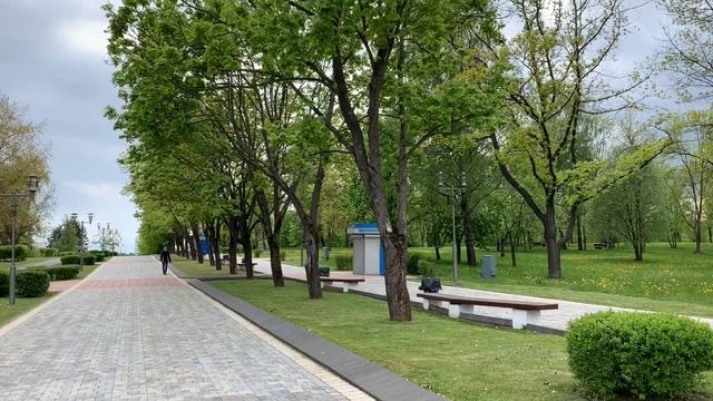 Выступление Агеевой Алисы 4 Б класс смотреть онлайн