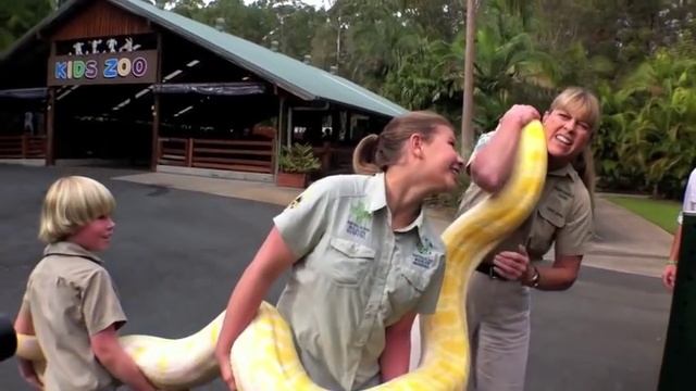 Australia Zoo - New home for Alimah the albino burmese python смотреть онлайн