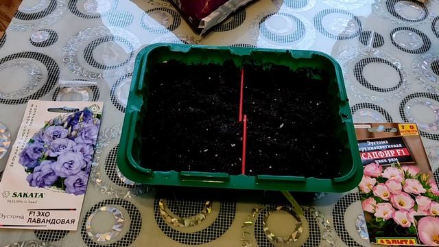 Выращивание Эустомы в Сибири. Посев. смотреть онлайн