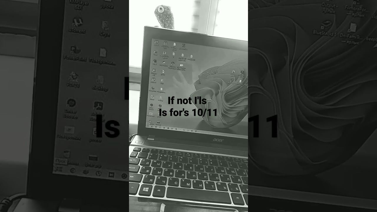 windows project in windows 10 in/windows 11 fruitcake Picasso is deal with it's for a bit 100 hq смотреть онлайн