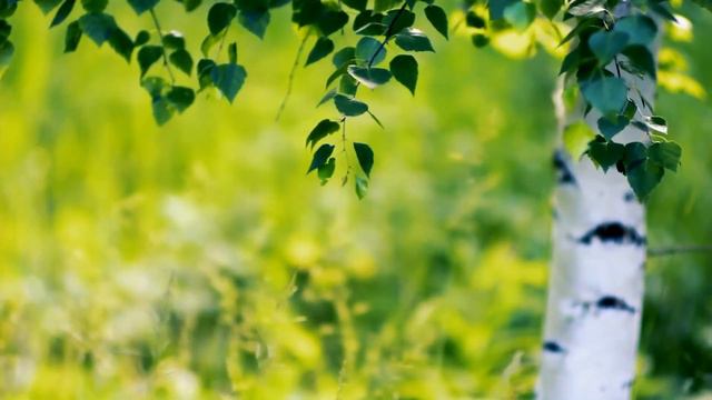 Футаж песня - Гуляю гуляю (1080 кодер ютуб)