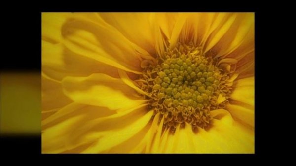 Reiki Timer with Relaxing Music and 3 Minute Bell Timer ~ 26 Positions