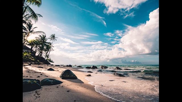 Nature Relaxation Douce Relaxante, Calme - Algorithmic Boost Request - 20000 смотреть онлайн
