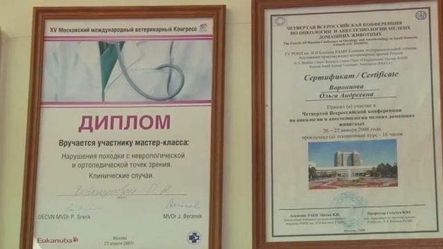 Почему кошка регулярно ерзает на попе по ковру? смотреть онлайн