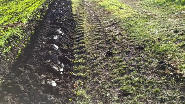 17 октября 2021 г.mp4 смотреть онлайн