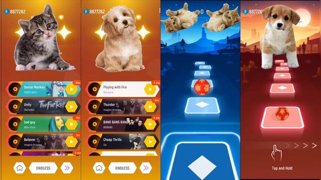 Cute Cat VS Cute Dog VS Cute Cat VS Cute Dog - Tiles Hop Edm Rush ! смотреть онлайн