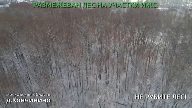 СПАСИТЕ ЛЕС В д.КОНЧИНИНО смотреть онлайн