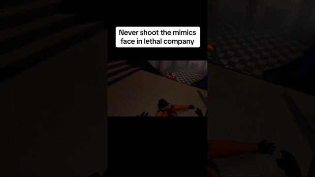 We found out the hard way lol #lethalcompany #lethalcompanygame #lethalcompanyfunny #lethalcompanyg смотреть онлайн