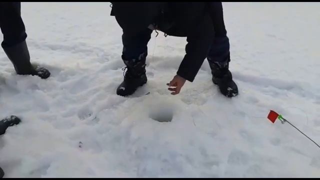 Закрытие рыболовного - зимнего сезона 2019. Рыбалка на реке Колутон в Бастау - Новоалександровка смотреть онлайн