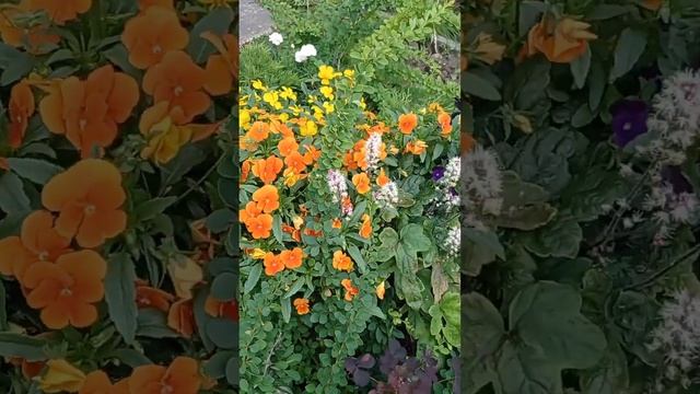 За 5 Минут, Кистью Умелой, Мир Чёрно-Белый Весь Разрисуют Чудаки❤️???????? смотреть онлайн