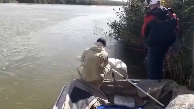 Рыбалка в Камызяке. смотреть онлайн