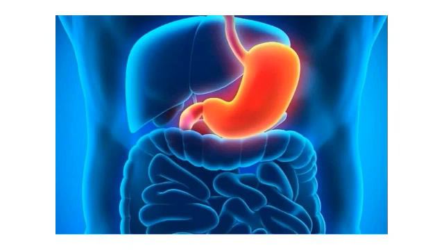 Что важно знать о своём организме. NAYUTA. смотреть онлайн