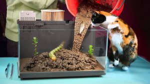 Болото в аквариуме из будущего - день 1