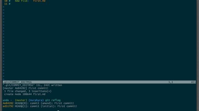 Oops, git! I didn't mean --amend! смотреть онлайн