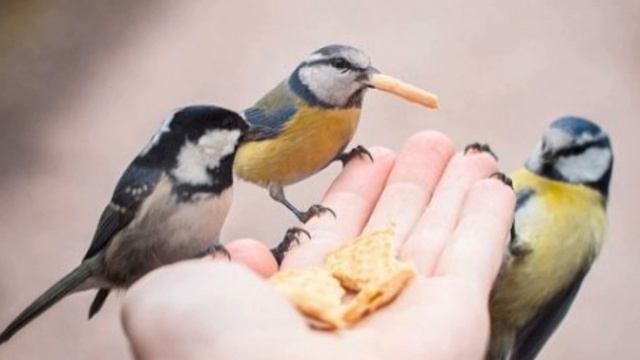 Добрая сказка на ночь смотреть онлайн