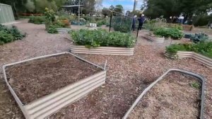 Бабушки поставили меня на место.У нас с этим строго.Последние новости Австралии.Элла Австралия