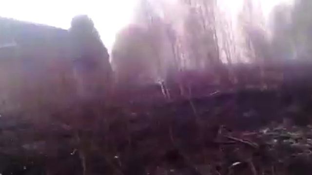 VID 20190423 WA0010 смотреть онлайн