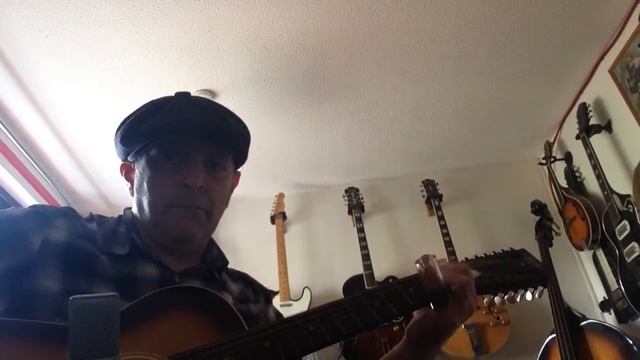 Harmony 12 string смотреть онлайн