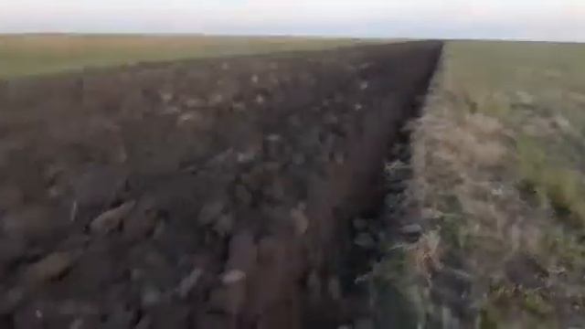 отвальная вспашка 2021 г. плуг мтз 892.2 + плн 3-35. смотреть онлайн