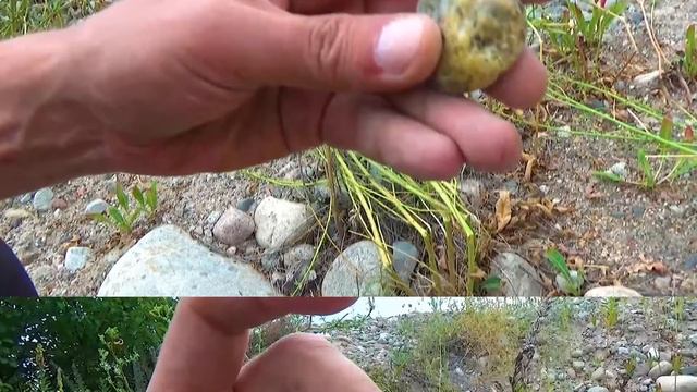 Какой прикольный камушек 40 смотреть онлайн