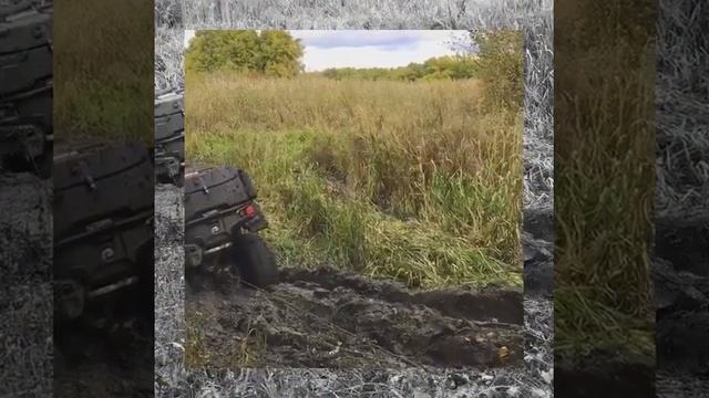 Квадро трип смотреть онлайн