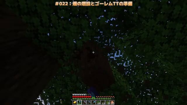 【作業用】＃022：n回目（）の帰ってきたのんスロ【Minecraft】 смотреть онлайн