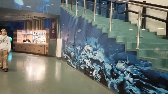 МОСКВАРИУМ 🐟🦭🐬ПОСЕТИЛ МОСКОВСКИЙ АКЕАНАРИУМ‼️#москвариум #акеанариум #ВДНХ #москва смотреть онлайн