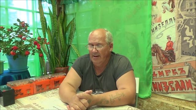 Про варианты проживания, про электро скутер, про то где найти прохладные места на островах. смотреть онлайн