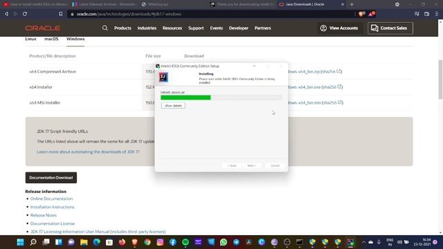 How to Install IntelliJ IDEA on Windows 11 смотреть онлайн