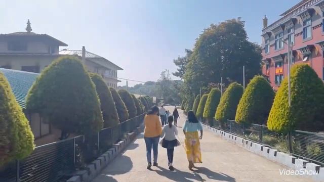 Пешком в лесной храм Индия смотреть онлайн