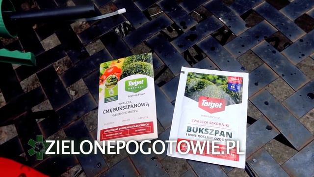 Zwalczanie Szkodników