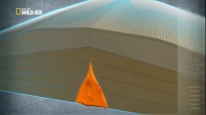 Тайны Морских глубин. Что скрывает океан?!