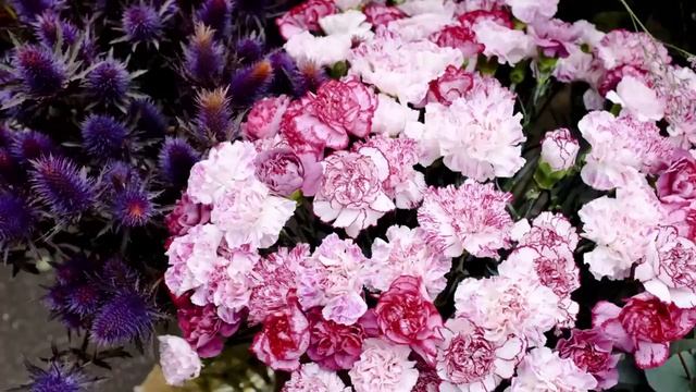 Ради смеха одноклассники пригласили на встречу выпускников "серую мышь". Но когда она вошла в зал.. смотреть онлайн