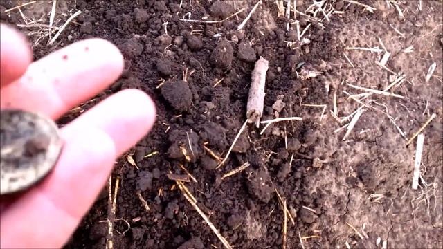 КОП МОНЕТ #ОТКРЫТИЕ СЕЗОНА #2019 ? смотреть онлайн