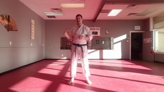 A Quick Tip on Teaching Yoko-Geri (Side Kicks) смотреть онлайн