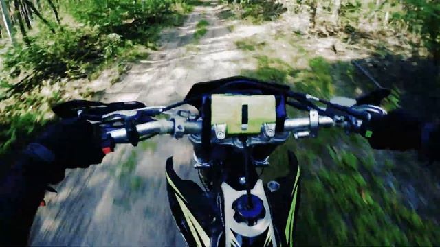 BSE Z7 FOREST RUN смотреть онлайн