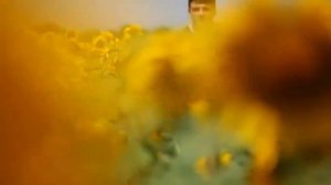 СТЕПАН ГИГА