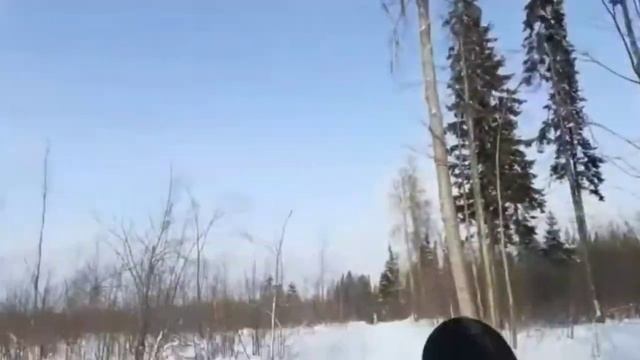 Влог: Потеряла КРЕДИТНЫЕ карты// Ездила на лыжах, пекла пирожки// Irina Wils смотреть онлайн