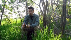 Воздерживаюсь 5 месяцев. Зачем? | Состояние: депрессия, суеверие, простатит, беспокойство!