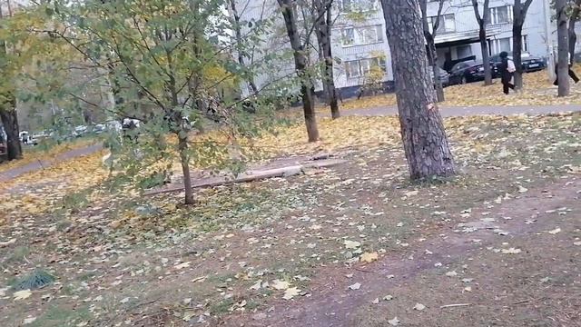 Домашний приют. Гульки стали рано ложиться спать. Похолодало. смотреть онлайн