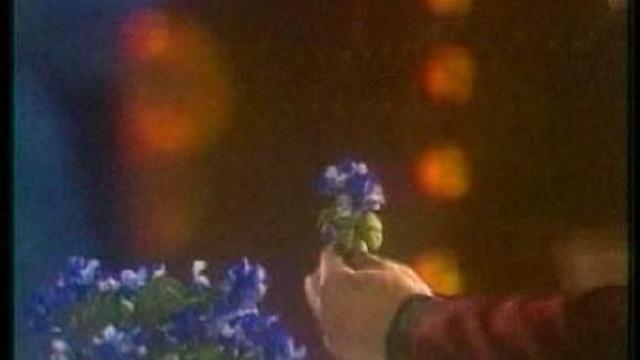 София Ротару-Лаванда смотреть онлайн