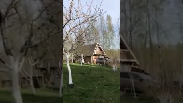 Литва, Вильнюсский р., Пурнушкес | Lithuania, Purnuškės. Взгляд Марины | View from Marina's place смотреть онлайн