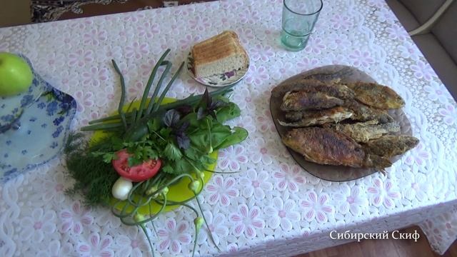 Жёлтый карась. Ротатан жарёный в манке муке. Пробую ротана карася. Самая вкусная рыба Сибири смотреть онлайн